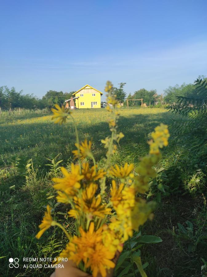Mirella33 Apartamento Palić Exterior foto